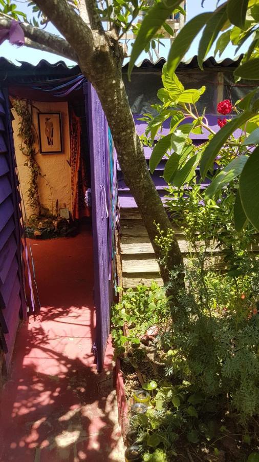 Ajo Aloha Hostel Cabo Polonio Bagian luar foto